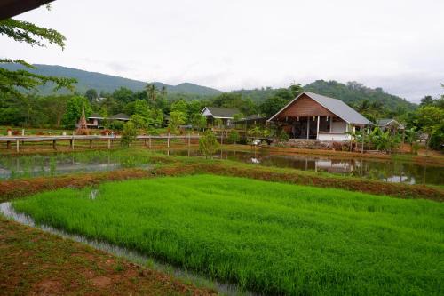 Ban Luang Resort | Experience Nok Chan Mee Na: Family-Friendly Getaway