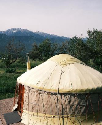 Tuzdybastau Other | Discover Taipa Camp: Family & Pet-Friendly Retreat