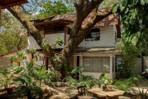 Tamarindo House | Noni Garden
