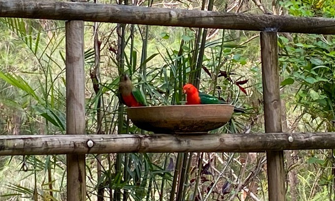 Cootharaba House | Noosa Hinterland Retreat