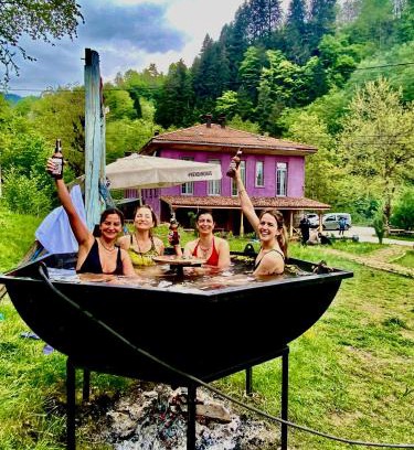 Camlihemsin Hotel | Pet-Friendly Nordic Otel with Family Amenities & Great Reviews
