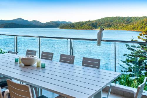 Hamilton Island Apartment | Discover North Cape 5 on Hamilton Island - Family Friendly Getaway