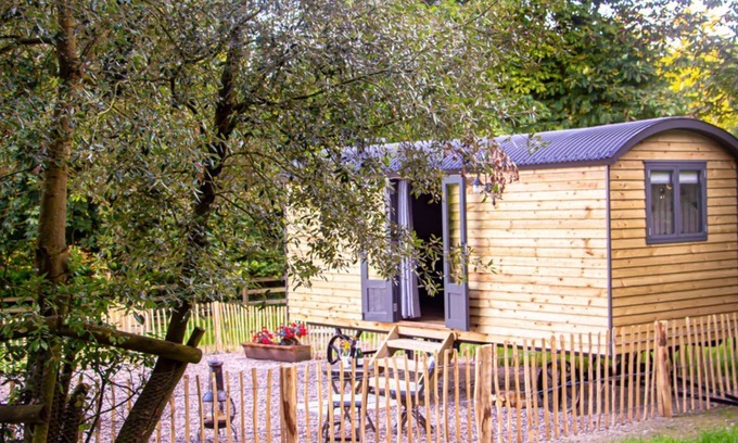 Brabourne Cabin | Cozy North Downs View Shepherd's Hut with Breakfast & Kitchen