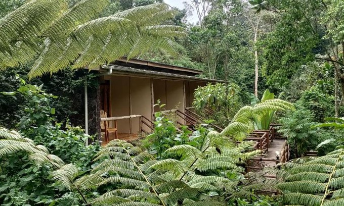 Western Region Hotel | Pet Friendly Nshongi Camp: Guest Rated 10/10 with Breakfast