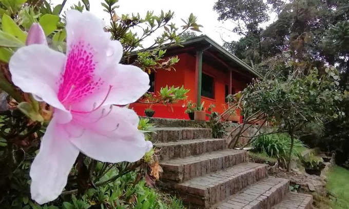 Tena House | Discover Nuestro Bosque I: Pet-Friendly Retreat & Dining