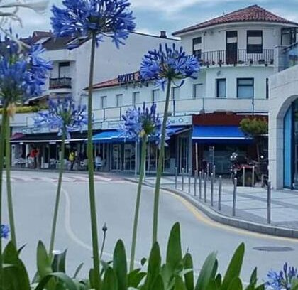 Suances Hotel | Oceanfront Nuevo Hotel Sydney: Family-Friendly Escape