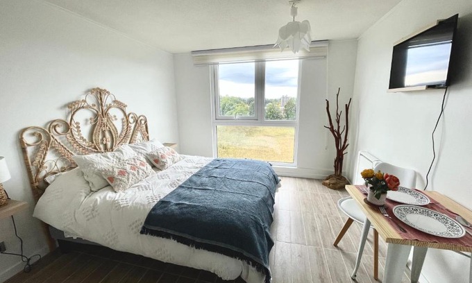 Valdivia Apartment | Modern Studio Retreat: Pet and Child Friendly Getaway