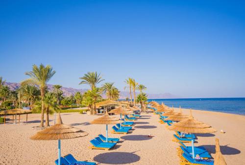 Nuweiba Resort | Relax at Nuweiba Club Resort with Private Beach & Spa