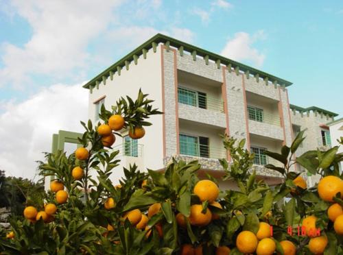 Jungmun House | Unmatched Nuyoungnayoung Pension: Perfect for Families