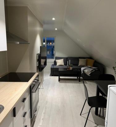 Bodo Apartment | Modern 2-Room Apartment - Guest Rated: 9.4/10