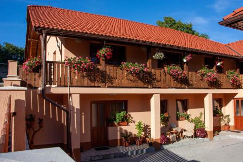 Lupeni House | Budget-Friendly Stay at Nyikó Vendégház with Breakfast