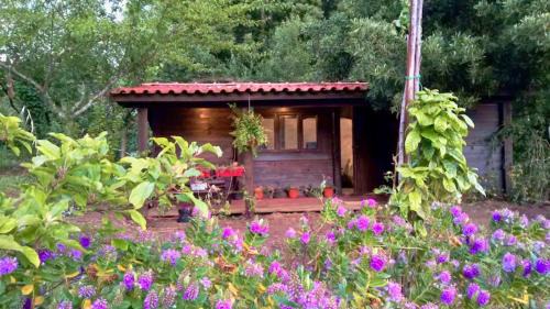 Paredes de Coura Ski Chalet | Guest Rated 8.9: O Cantinho de Coura - Pet-Friendly Retreat