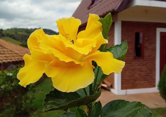 Olimpio Noronha Cabin | Budget-Friendly Stay at O CHALÉ with Breakfast & Kitchen