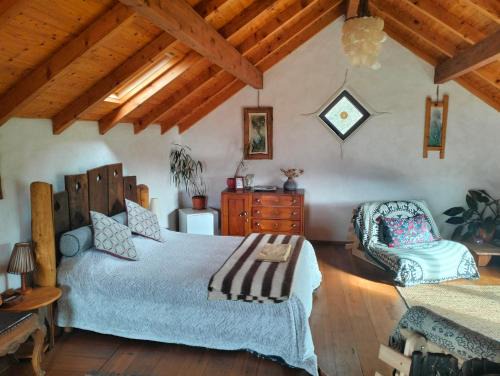 Penela Bed & Breakfast | Discover O Homem Verde: Family-Friendly with Breakfast Included