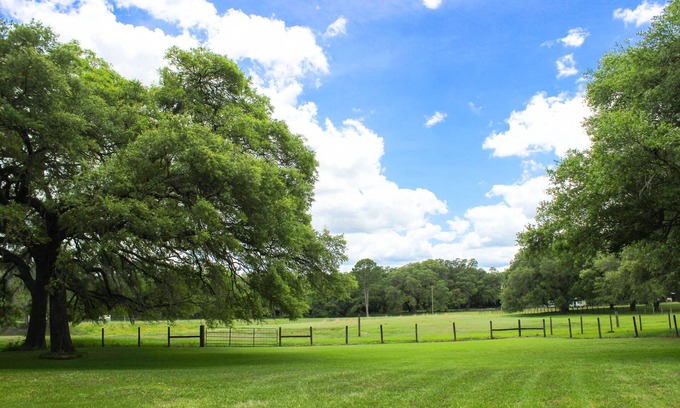 Morriston Cabin | Pet-Friendly Oak Flats Farm with Outdoor Shower & Star Link