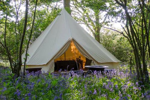 Pentrefelin Other | Welcome to Oak Tree Farm: Pet-Friendly Family Retreat