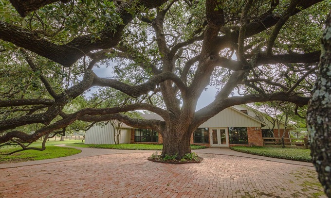 Waco House | Unwind at Oak Tree Manor with Pool and Ocean Views