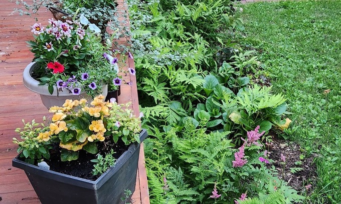 Menomonie Bed & Breakfast | Experience Oaklawn Inn LLC: 4-Star Comfort & Dining Delights