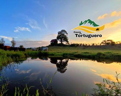 Cariari Ski Chalet | Relax at Oasis del Tortuguero: Pet-Friendly Retreat Awaits