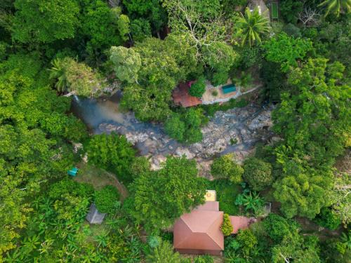 K. Wipawadi House | Discover Oasis Forest Garden: Pet-Friendly Retreat with Pool