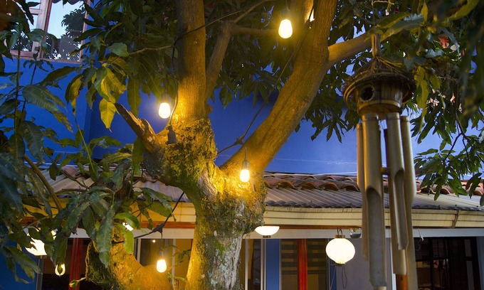 San Francisco Apartment | Cozy Oasis in the City with Spa and Breakfast Options