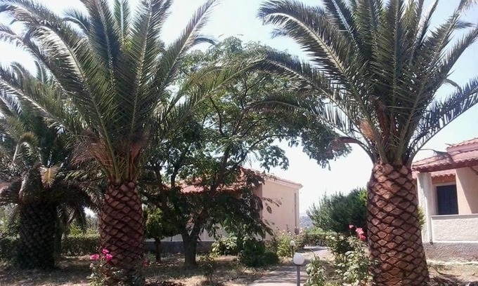 Skala Kallonis House | Pet-Friendly Oasis Studios: Guest Rated 8.9/10