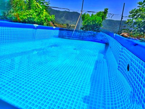 El Paso House | Oasis tropical