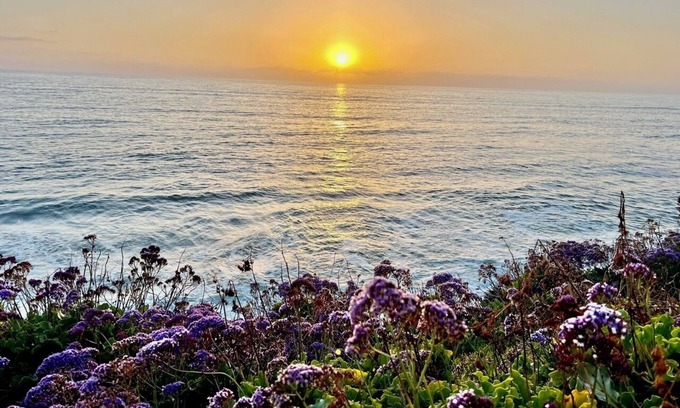 San Diego Cottage | Ocean Beach Cottage: Unforgettable Sunsets and Ocean Views