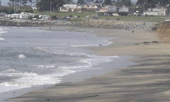 El Granada Apartment | Coastal Escape: Beach Access, Trails & Family-Friendly Stay
