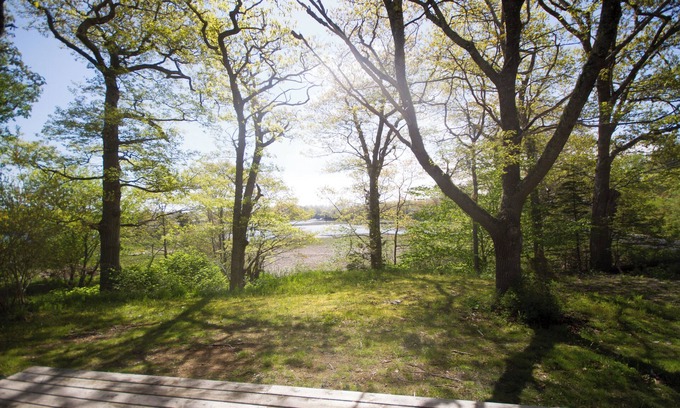 Yarmouth County House | Pet-Friendly Ocean Cottage Surrounded by Majestic Oaks