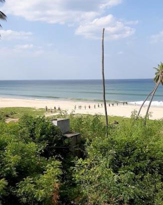 Trincomalee Hotel | Beachfront Bliss at Ocean Palms Resort - Rated 9/10