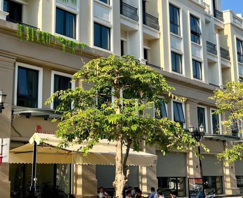 Van Giang Apartment | Ocean Park - 14 Giường Đôi - Sunny Residence