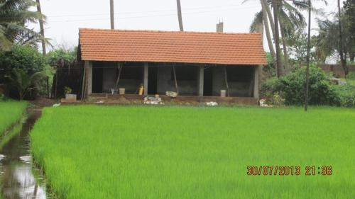 Gokarna House | Cozy Ocean Sparrow Stay: Pet-Friendly Family Retreat