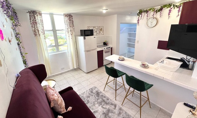 Isla Grande Apartment | Ocean View 1BR Retreat Near Historic Old San Juan
