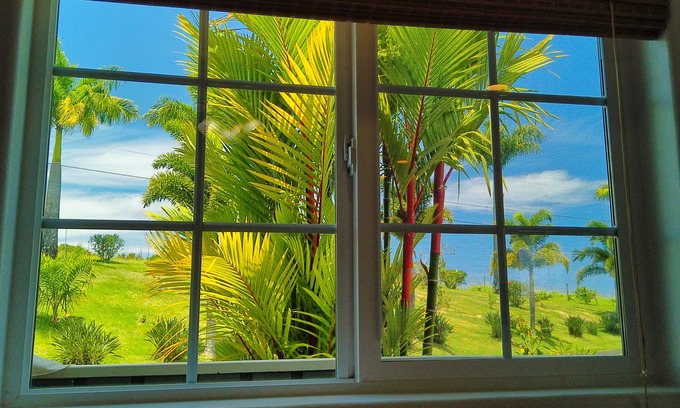 Pepeekeo Cottage | Idyllic Ocean View Cottage with Pool and Fruit Orchard