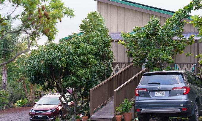 Ocean View Apartment | Oceanfront Getaway: The Starfish After Major Renovations