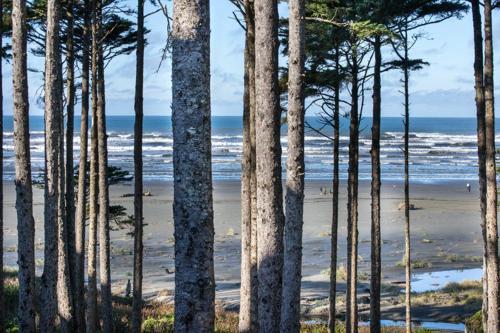 Seabrook House | Relax at Oceanaire by Seabrook Hospitality - 4-Star Getaway