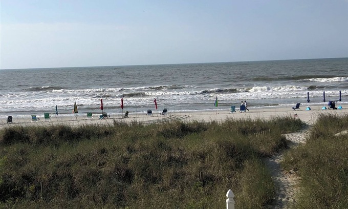 Ash Condo | Oceanfront Condo with Pool and 9.8/10 Guest Rating