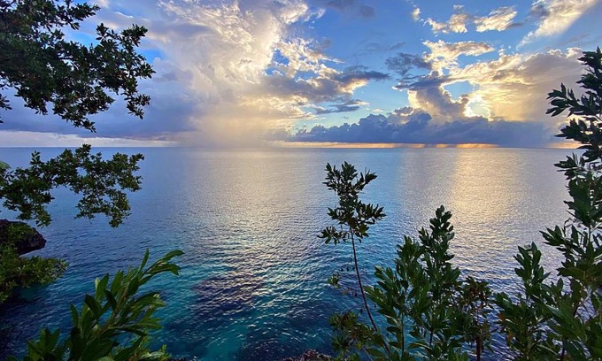West End Apartment | Oceanfront Condo: Free Parking, High Speed Wifi & Pet Friendly