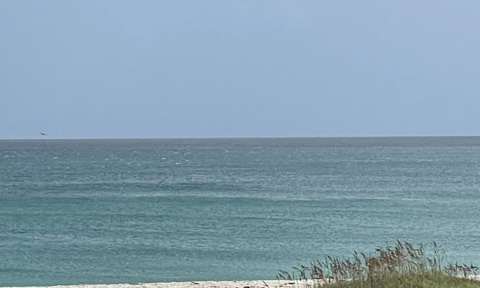 Vero Beach Condo | Oceanfront Renovated Condo with Pool and Ocean View