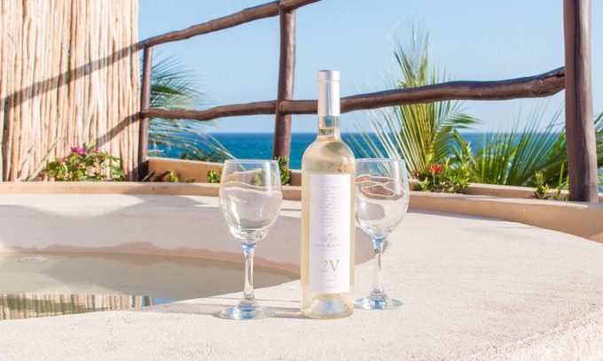 Majahual Apartment | Oceanfront Penthouse with Rooftop Pool and BBQ Area