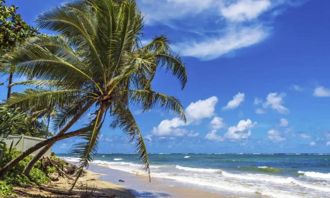 Hauula House | Oceanside Estate - Oceanfront Home with Pool & AC, Rated 10/10