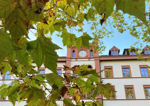 Basel Hotel | Pet-Friendly ODELYA Hotel with Nature Garden in Basel