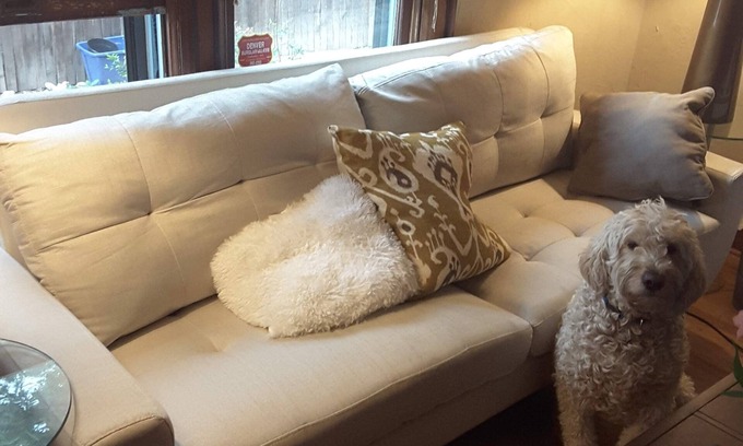 Speer Bed & Breakfast | Cozy Off Broadway B&B: 4-Star Retreat with Spa & Breakfast
