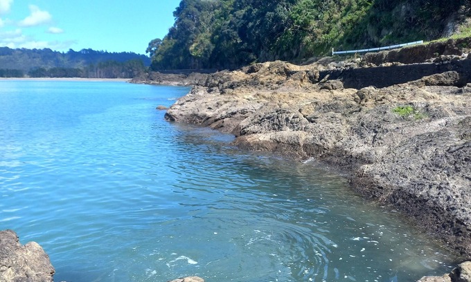 Hicks Bay Cabin | Experience the Off Grid Waheriri Waterfall Cabin Escape