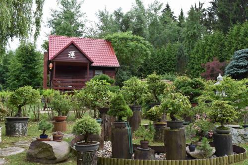 gmina Srokowo House | Relax at Ogród Shinrin Yoku: Forest Retreat Awaits