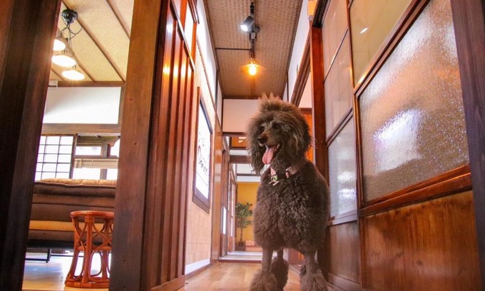 Ochi-gun House | Experience Okamuran Shimanami Goten - Pet & Child Friendly Stay