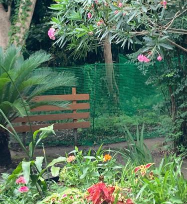 Oshima House | Discover OKUNO IE: Family-Friendly with a 9.4 Rating