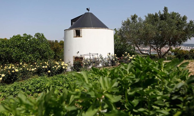 Caparica Bed & Breakfast | Beautiful Windmill in Belém with Ocean Views & Pool