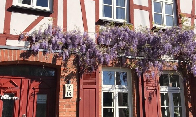 Horbruch Other | Family-Friendly Old Farmhouse with Pool & Breakfast Included